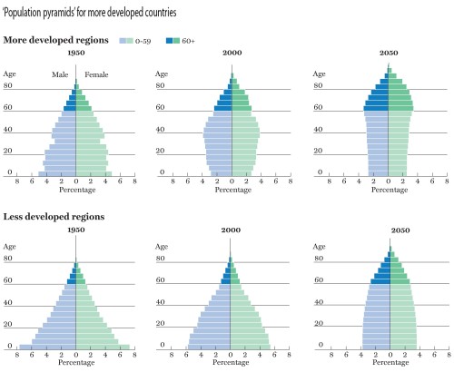 populatiepiramides populatiepiramides