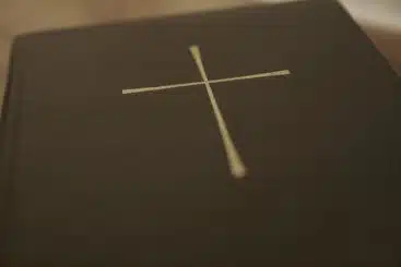 Source; Riley Kaminer & https://flic.kr/p/617fRh