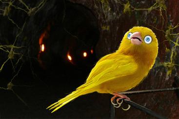 David Carroll's Flickr photostream.& https://flic.kr/p/mKW7Ka