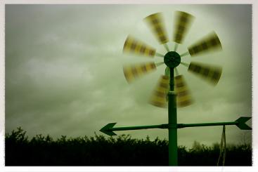 Source: Pitiejkey Photography & https://c1.staticflickr.com/8/7066/6798441376_386532776b_z.jpg