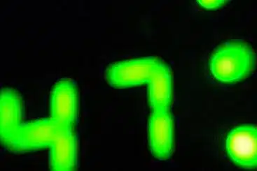 Source: Nick Carter & https://flic.kr/p/Lu4TP