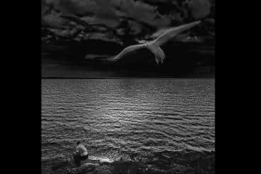 Source: wolfgangfoto & https://flic.kr/p/5ry1SC