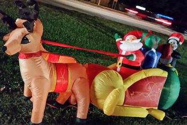 Source: Michel Curi & https://flic.kr/p/qopQpM