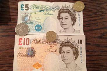 Source: Alan Ligh & https://flic.kr/p/fKaZbk