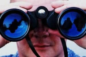 Source: steve p2008 & https://flic.kr/p/brWrfJ