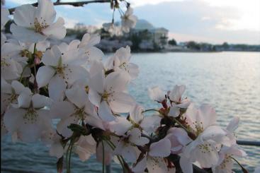 Source: terren in Virginia & https://flic.kr/p/4Cq9d8