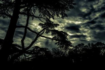 Source: Iain Merchan & https://flic.kr/p/RdGJjG