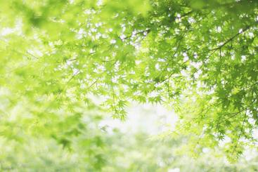 Source: KENTAMA & https://flic.kr/p/o8uFBy