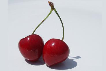 Source: Amanda Slater & https://flic.kr/p/6w3SC2