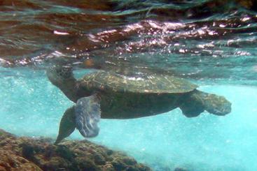 Source: Pat McGrath https://flic.kr/p/6FtiSL