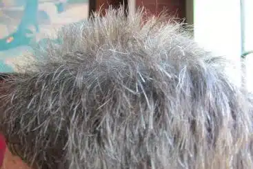 Source: jennalex & https://flic.kr/p/8fXUPc