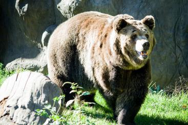 Source: Marco Verch & https://flic.kr/p/22LkAVj