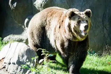 Source: Marco Verch & https://flic.kr/p/22LkAVj