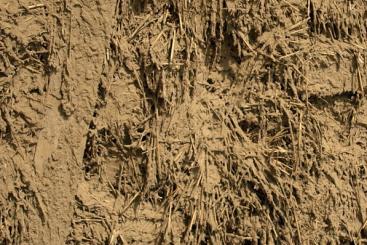 Source: Chris RubberDragon & https://flic.kr/p/eSB9br