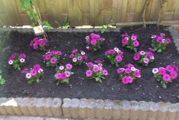 bloemen 20 april 2018