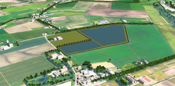 Impressie zonnepark Roosendaal TomorrowEnergy