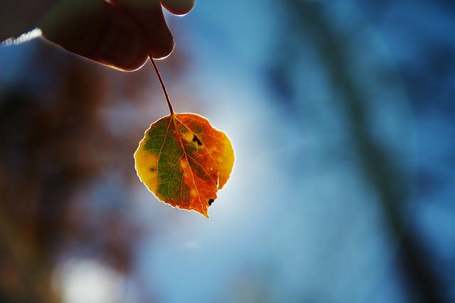 Source: Zach Dischner & https://flic.kr/p/btrGR6