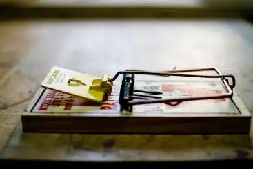 Source: royalty free & https://flic.kr/p/fnD2ow